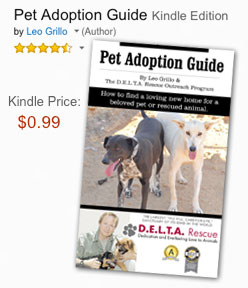 Pet adoption guide