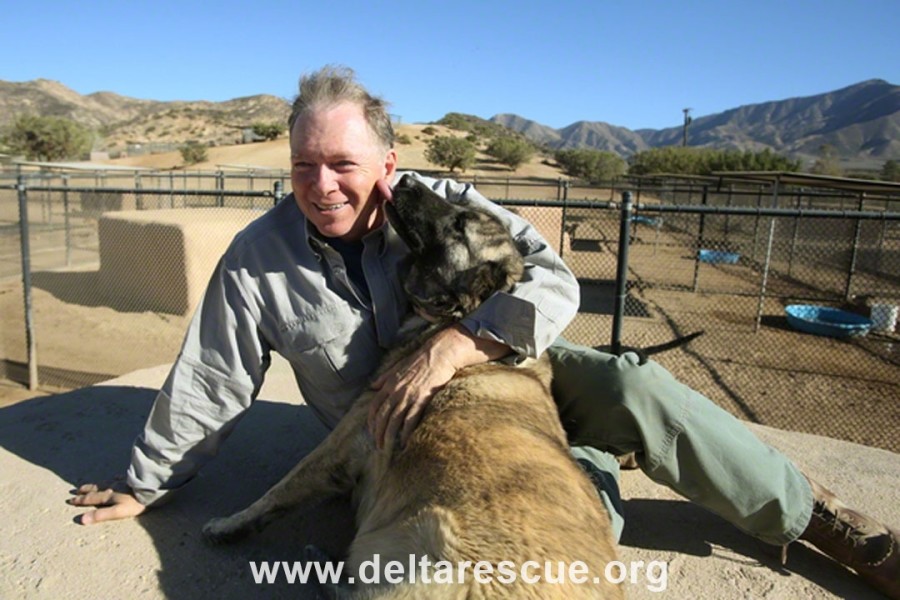 Leo and his impossible Afghanistan rescue, Chaos. Dedication and Everlasting Love to Animals