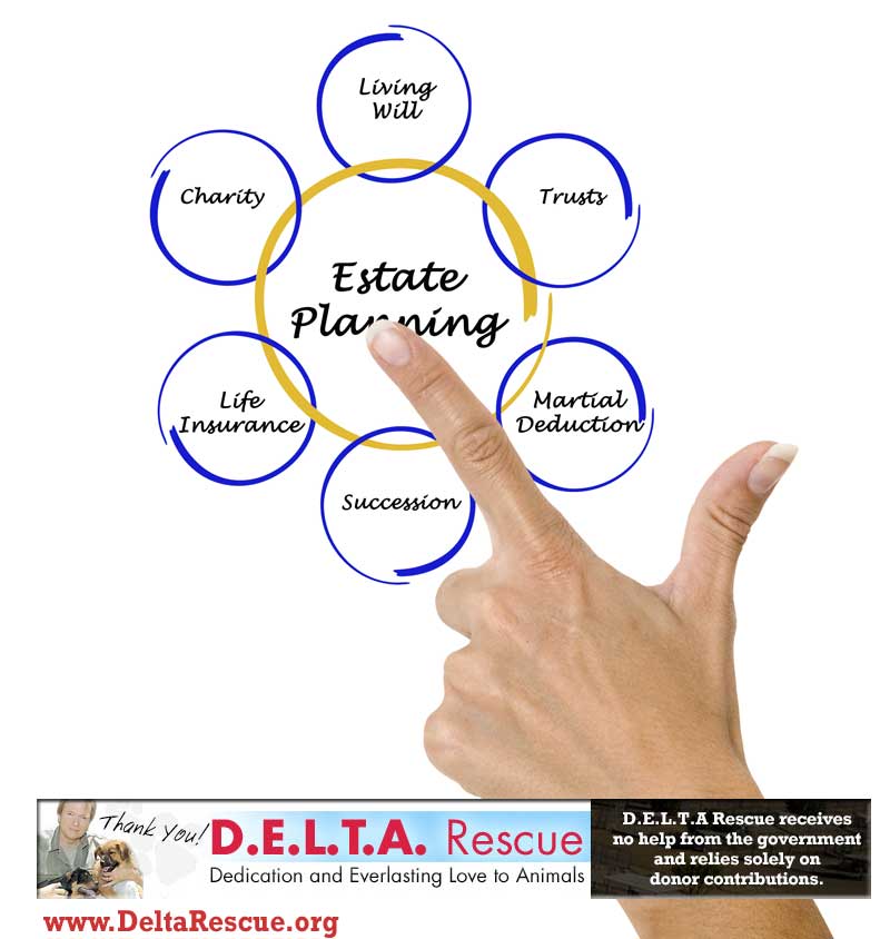 Estate Planning