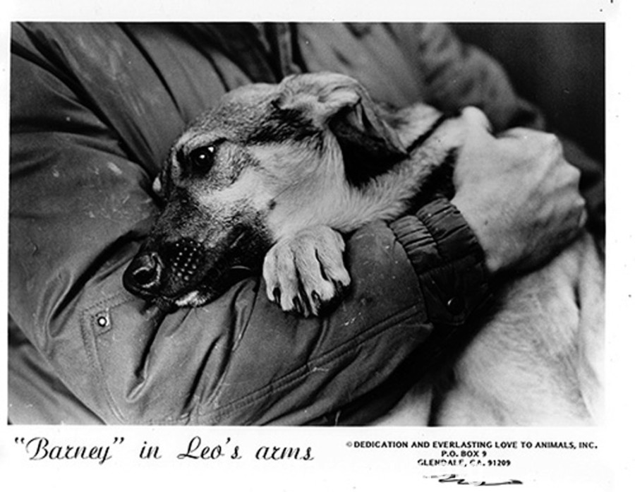 Delta Rescue animal super sanctuary