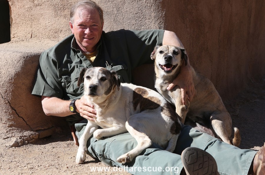 Cookie, Brownie,and Leo