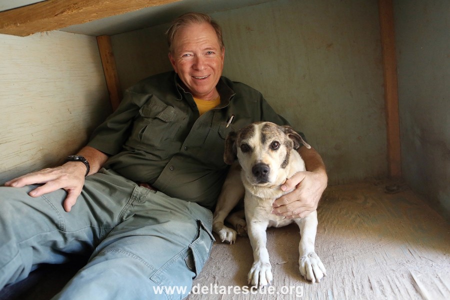 Leo and Cookie in dog house Leo and Cookie in dog house