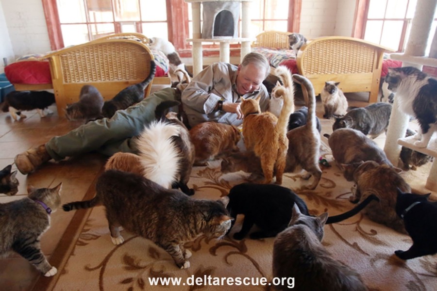 Leo with his kids Leo with his kids in the cattery
