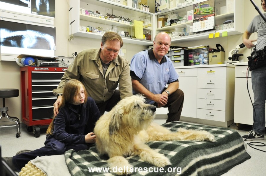 Animal Sanctuary hospital with our beloved Lacee Delta Rescue Animal Hospital and Dr. Gaylord Brown