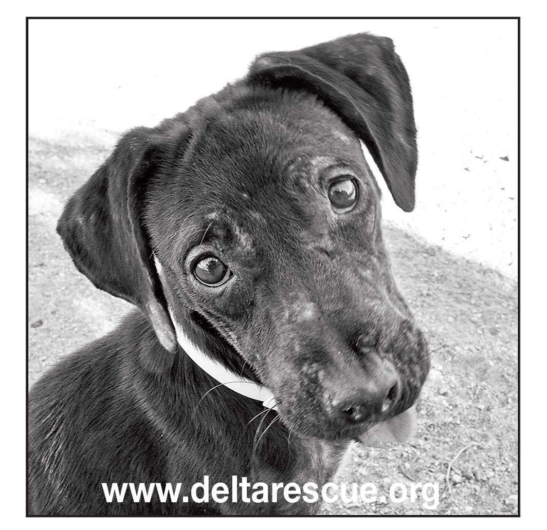 Suzy was rescued in October 2010 by Leo Grillo