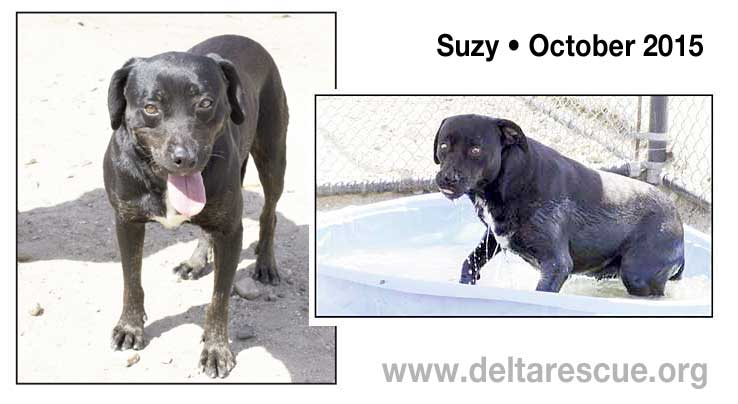 Suzy today, five years later