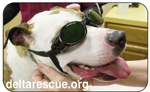 Delta Rescue laser therapy