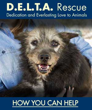 Help-Delta-Rescue - DELTA Rescue Care for Life Animal Sanctuary