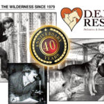 celebrating 40 years of rescuing in the wild