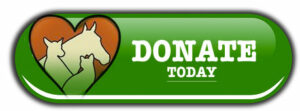 Donate-today-button_09
