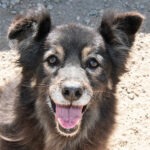 Feb2020-Eva-2-150x150