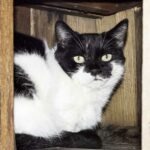 REPLY-420-newsletter-150x150